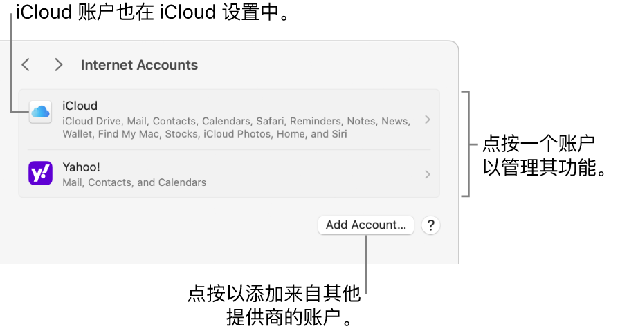 “互联网账户”设置,其中列出了在 Mac 上设置的账户。