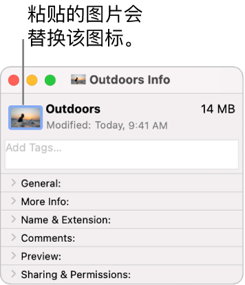 文件夹的“简介”窗口，显示通用图标替换为图片。