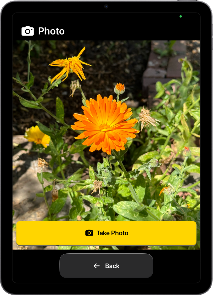 Een iPad met hulpbedieningstoegang, waarop de Camera-app is geopend en waarop twee grote knoppen te zien zijn: één om een foto te maken en één om terug te gaan naar het vorige scherm.