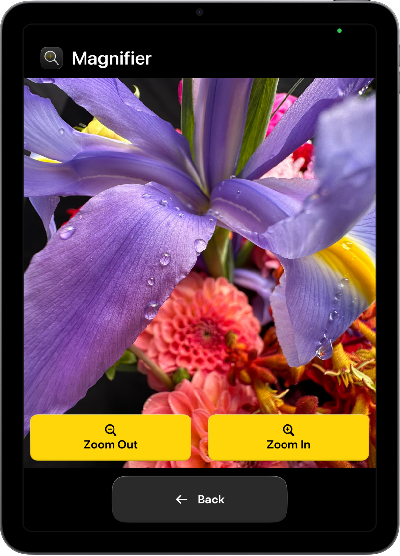 Een iPad met hulpbedieningstoegang, waarop de Vergrootglas-app is geopend. Een close‑up van een bloem vult bijna het hele scherm. Onderaan staan de knoppen 'Zoom in', 'Zoom uit' en 'Vorige'.