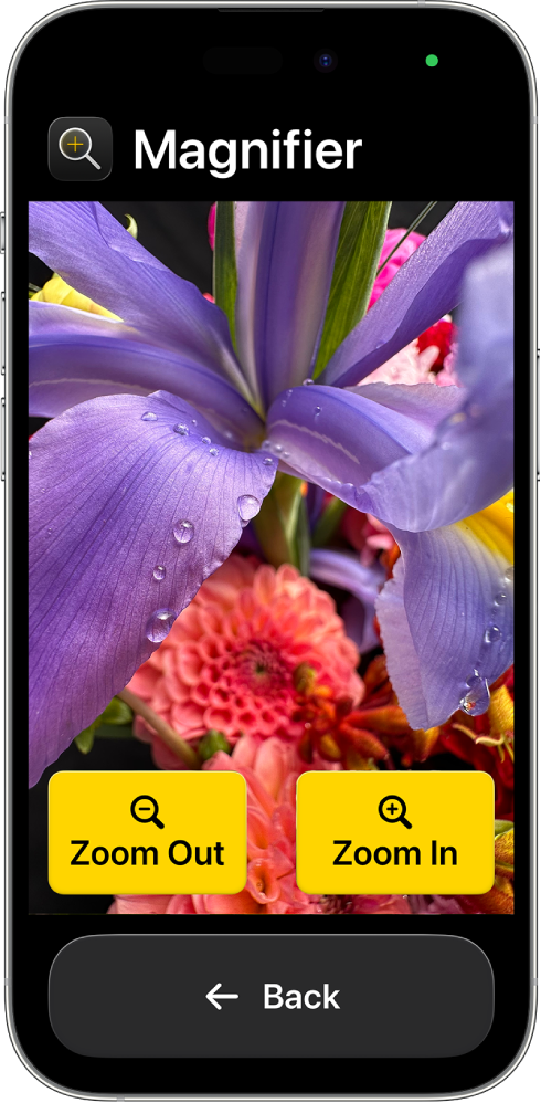 An iPhone in Assistive Access with the Magnifier app open. A close-up image of a flower fills most of the screen, with Zoom In, Zoom Out, and Back buttons at the bottom.