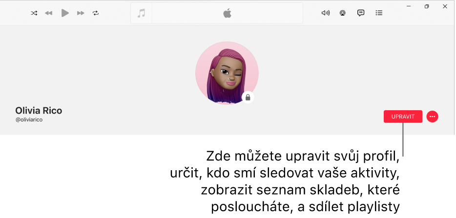 Profilová stránka v Apple Music: Na pravé straně okna se nachází tlačítko Upravit, po jehož výběru můžete v profilu provést změny, určit, kdo smí sledovat vaše aktivity, zobrazit hudbu, kterou posloucháte, a sdílet playlisty.