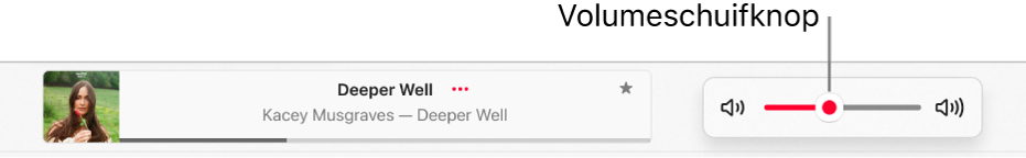 De volumeregelaar.
