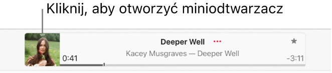 Wybierz grafikę albumu widoczną po lewej okna odtwarzania, aby otworzyć miniodtwarzacz.