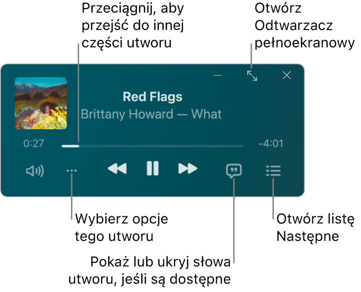 Miniodtwarzacz wyświetlający narzędzia sterowania odtwarzaniem utworu. W głównej części okna widoczna jest grafika albumu danego utworu. Poniżej grafiki znajduje się suwak umożliwiający przechodzenie do innych miejsc utworu oraz przyciski regulacji głośności, wybierania opcji, wyświetlania słów i sprawdzania listy utworów odtwarzanych w następnej kolejności. W prawym górnym rogu znajduje się przycisk, który pozwala otworzyć odtwarzacz pełnoekranowy.
