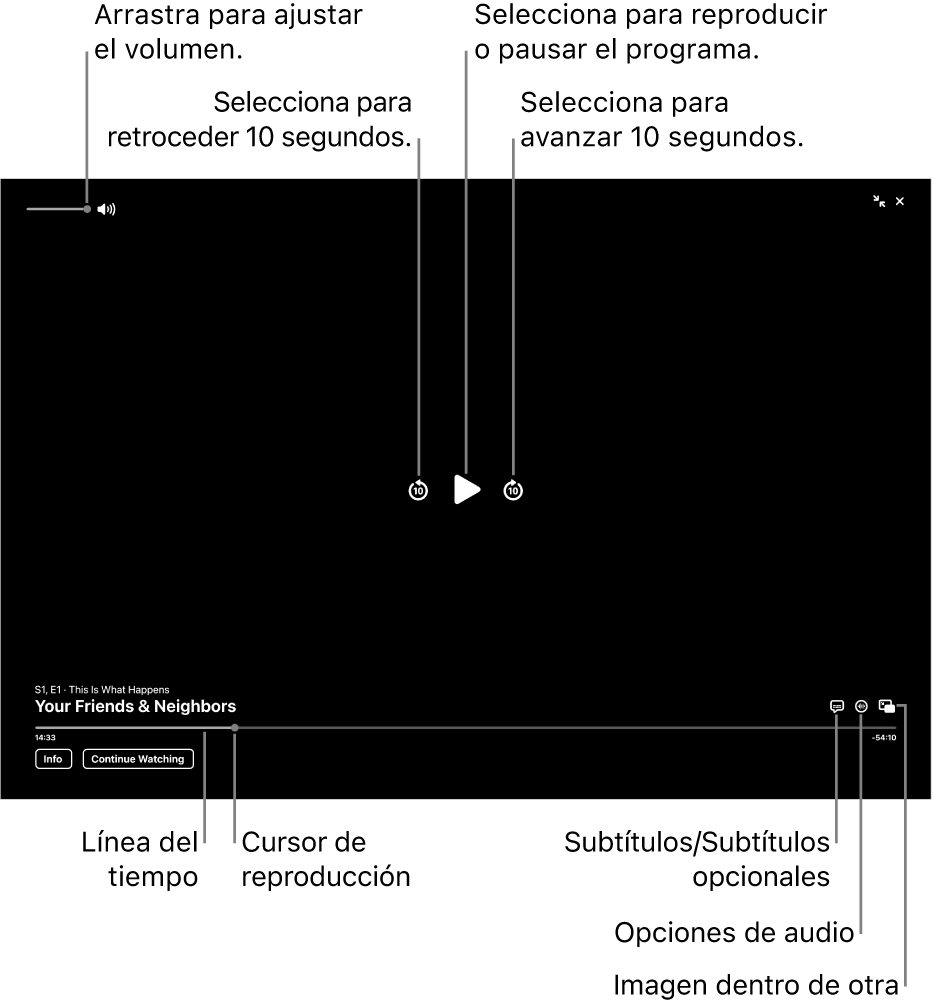 Los controles de reproducción en el visor, incluyendo los botones para reproducir y pausar, avanzar y retroceder, y ajustar el volumen.