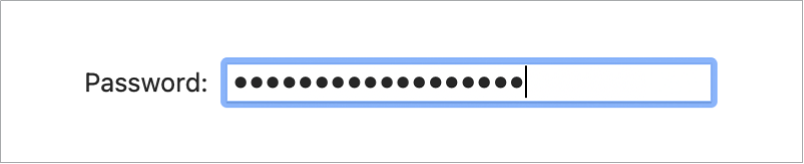 Dot characters that appear when a user types a password.