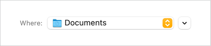 Example of a disclosure button in macOS.