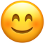the blushing face emoji