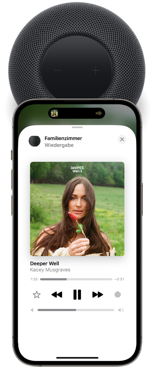 Ein iPhone nah an der Oberseite eines HomePod. Der iPhone-Bildschirm zeigt einen wiedergegebenen Musiktitel und der Titel wird auf den HomePod übertragen.