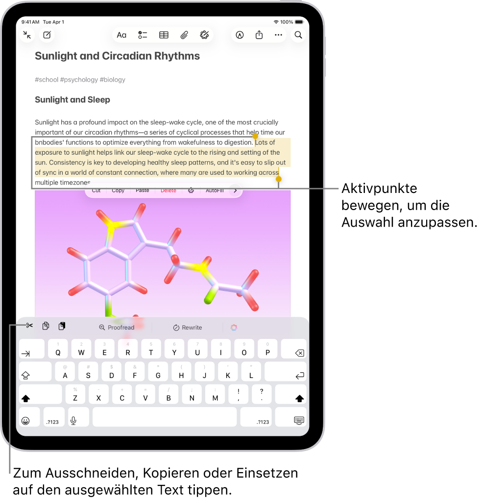 In einer Notiz in der App „Notizen“ ist Text ausgewählt. Über dem ausgewählten Text befinden sich die Tasten „Ausschneiden“, „Kopieren“ und „Einsetzen“. Der ausgewählte Text ist hervorgehoben, an jedem Ende befinden sich Aktivierungspunkte zum Anpassen der Auswahl.