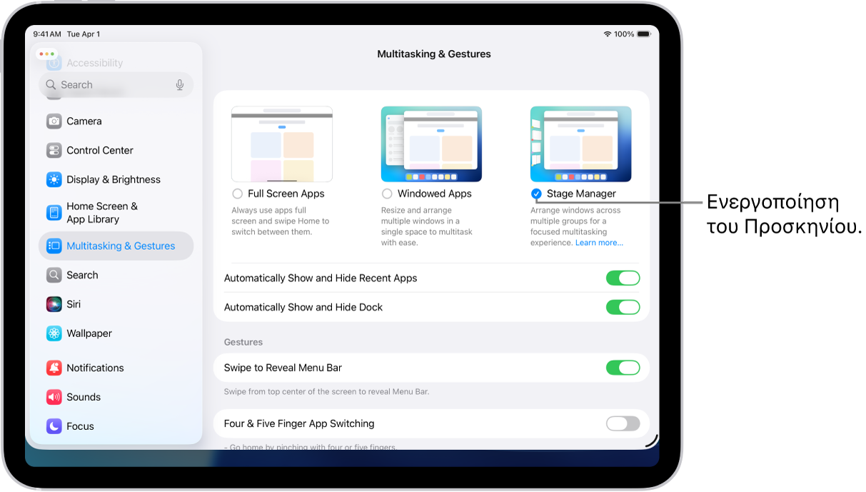 Η εφαρμογή «Ρυθμίσεις iPad», όπου φαίνονται οι επιλογές «Πολυδιεργασία και χειρονομίες» που μπορείτε να επιλέξετε για εργασία σε πολλές εφαρμογές.