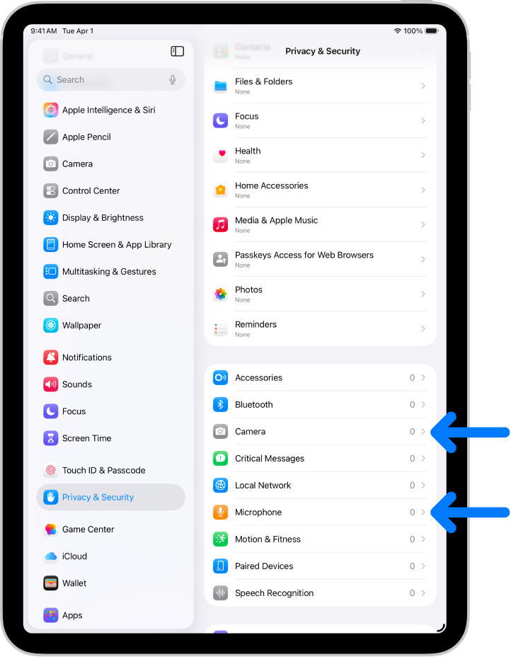 The Privacy & Security screen, with settings to control whether apps can use the camera, microphone, and other parts of your iPad.