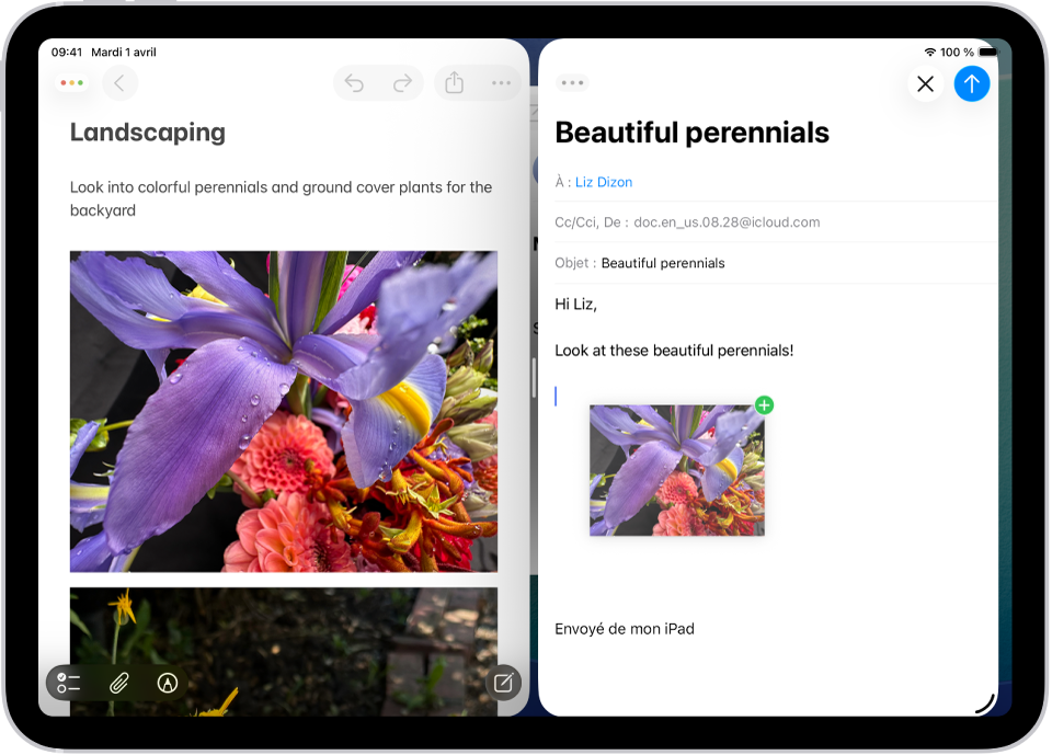 Plusieurs apps ouvertes côte à côte sont utilisées simultanément. L’app Notes est ouverte sur la gauche, tandis qu’un e-mail est ouvert sur la droite. Une photo est déplacée depuis Notes vers l’e-mail.