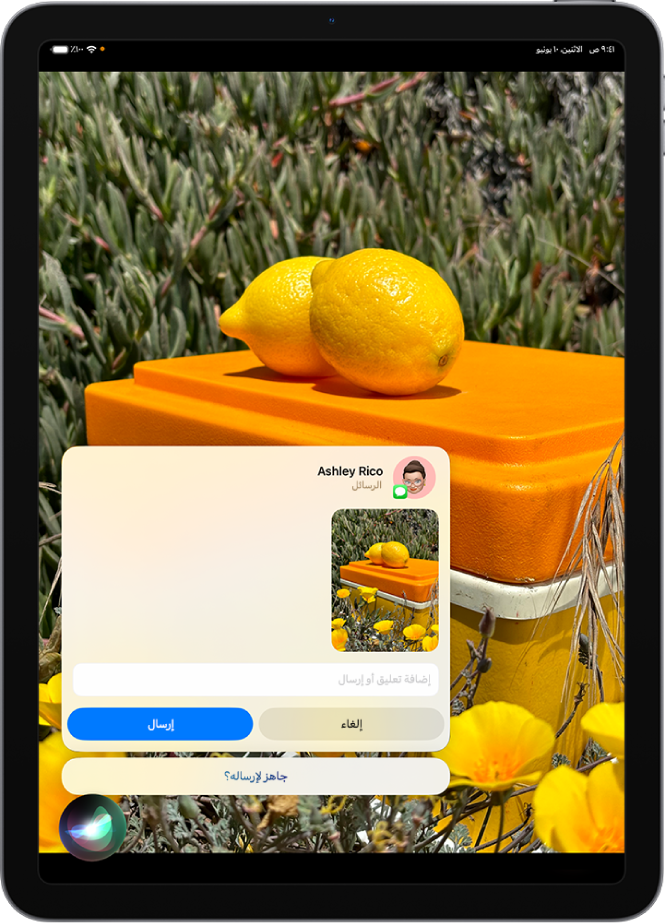 شاشة iPad بها تطبيق الاستماع لـ Siri في الزاوية السفلية اليسرى، ويظهر فوقه رد من Siri على شكل رسالة نصية جاهزة للإرسال.