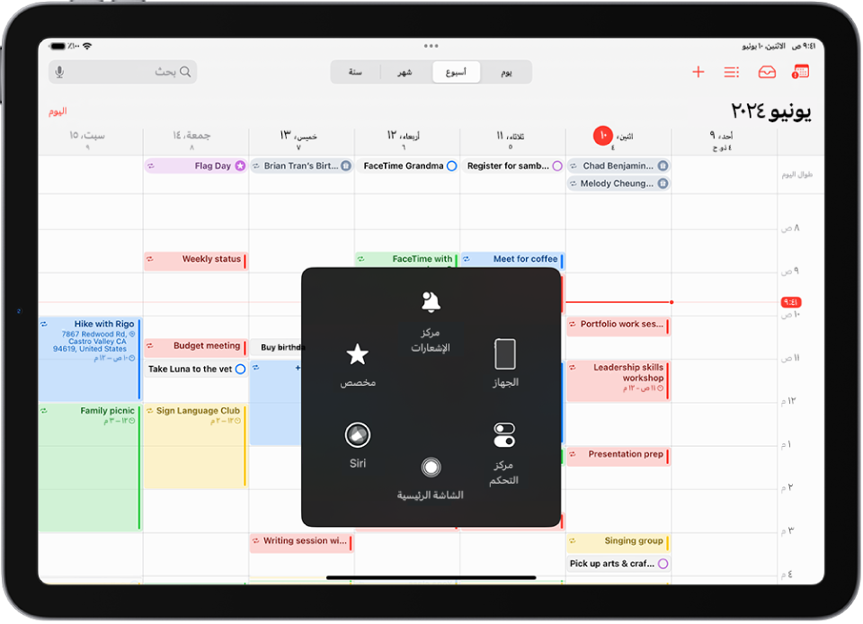 iPad تظهر به قائمة اللمس المساعد التي تعرض عناصر التحكم في مركز الإشعارات والجهاز ومركز التحكم والشاشة الرئيسية و Siri ومخصص.