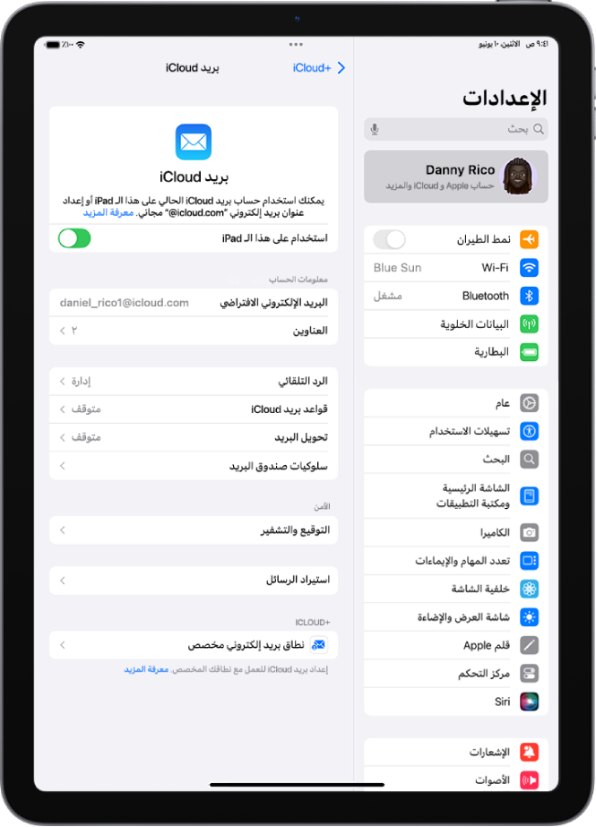 تطبيق الإعدادات مفتوح على شاشة بريد iCloud. يظهر نطاق بريد إلكتروني مخصص في الجزء السفلي من القائمة.