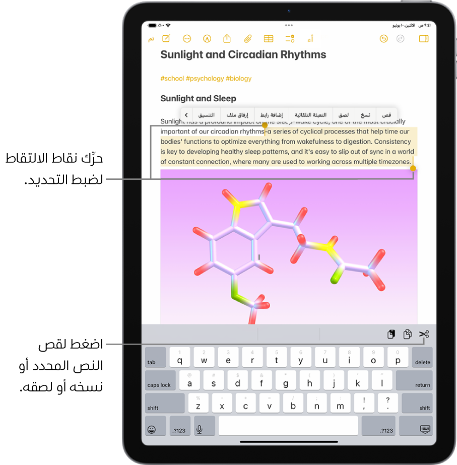 نص محدد في ملاحظة في تطبيق الملاحظات. تظهر فوق النص المحدد قائمة أزرار من ضمنها قص ونسخ ولصق. النص المحدد مميز، مع نقاط الالتقاط لضبط التحديد على كلا الطرفين.