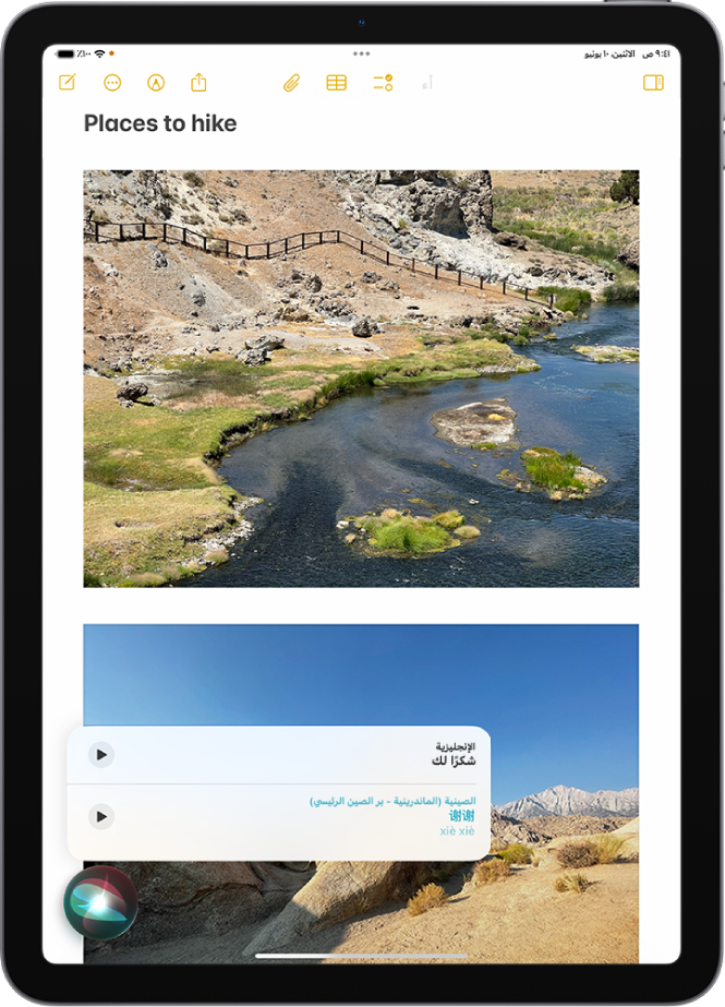 يعرض Siri ترجمة العبارة العربية "شكرًا لك" بالإنجليزية. يوجد زر على يسار الترجمة يعيد تشغيل صوت الترجمة.