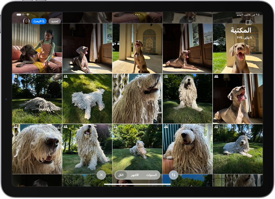 شاشة تعرض مكتبة صور iCloud مشتركة تحتوي على صور للكلاب الأليفة.