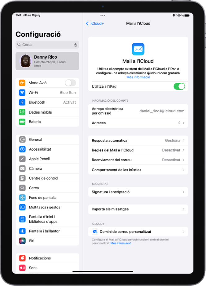 L’app Configuració, oberta per la pantalla “Mail a l’iCloud”. “Domini de correu personalitzat” es troba a la part inferior del menú.