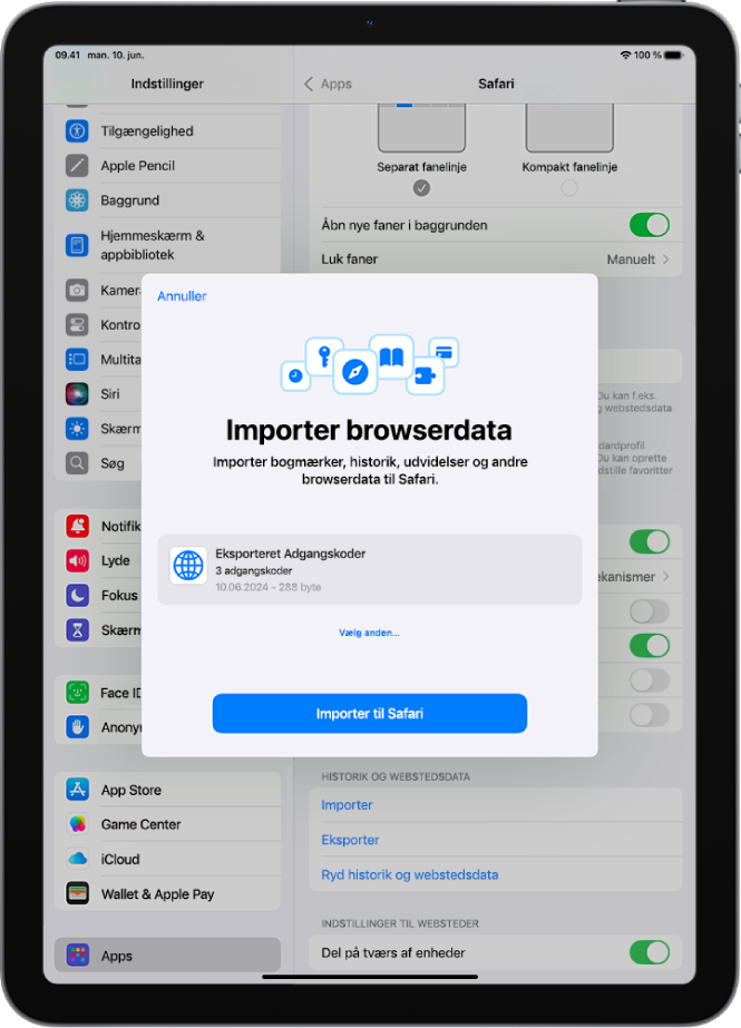 Skærmen Importer browserdata, som viser CSV-arkivet med adgangskoder, som skal importeres fra en anden adgangskodeapp.