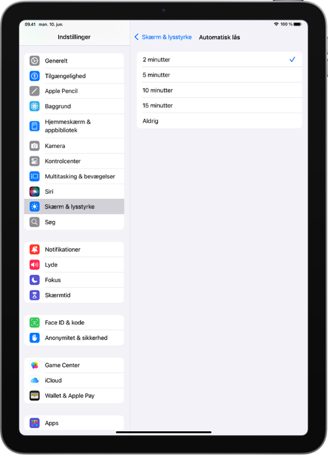 Skærmen Automatisk lås med indstillinger til, hvor lang tid der skal gå, før iPad automatisk låses.