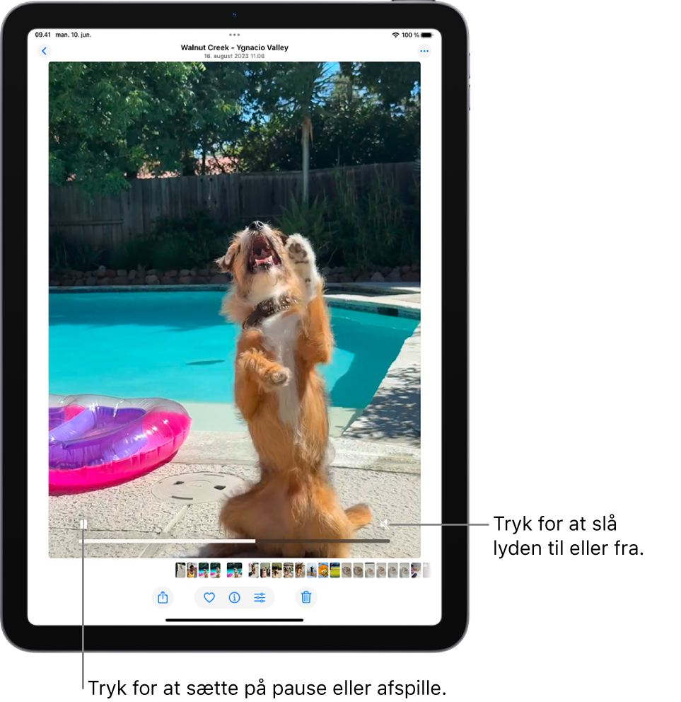 Videoafspilleren i appen Fotos er i midten af skærmen, og en video afspilles. Nederst i videoen vises fra venstre mod højre knappen Afspil/pause, en statuslinje og knappen Lydløs/lydstyrke.