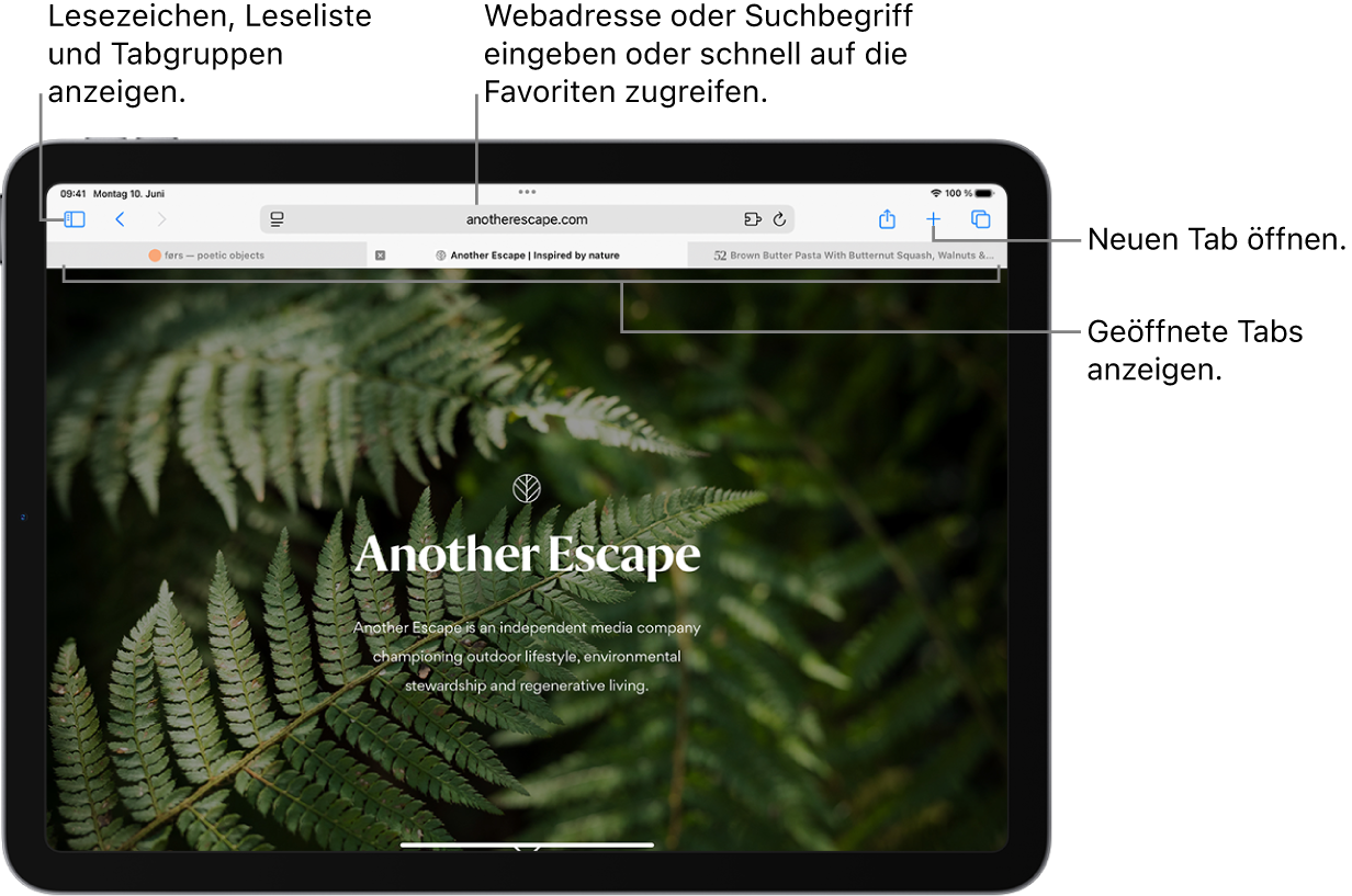 Eine geöffnete Webseite. Oben befinden sich von links nach rechts die Taste für die Seitenleiste, der Titel der aktuell geöffneten Tabgruppe, die Tasten „Zurück“ und „Vorwärts“, das Suchfeld, die Taste „Teilen“, die Taste „Neuer Tab“ und die Taste „Tabübersicht“.