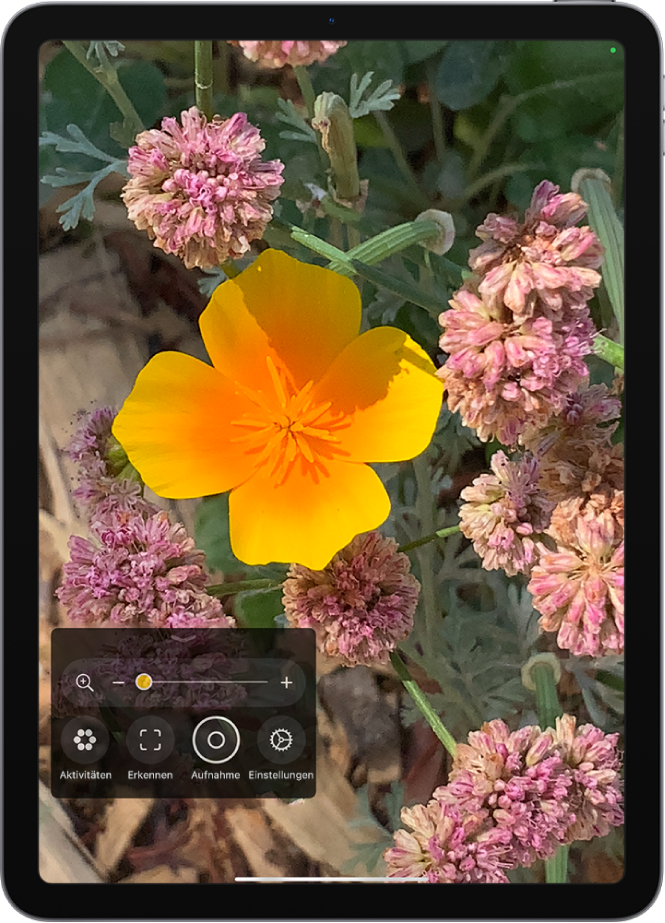 Die Apps „Lupe“ zeigt eine Nahaufnahme einer Blume.