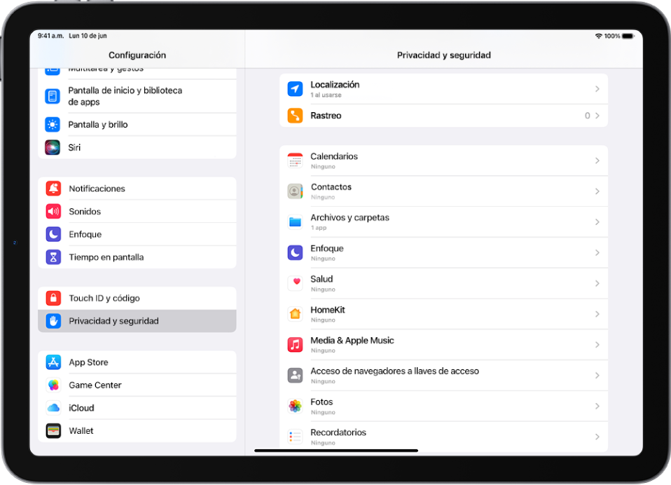 La pantalla Privacidad y seguridad.