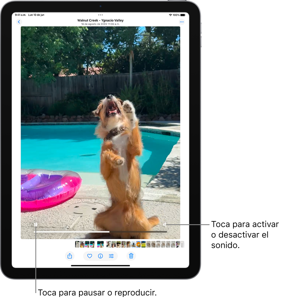 El reproductor de video de la app Fotos está en el centro de la pantalla y se está reproduciendo un video. En la parte inferior del video, de izquierda a derecha, están el botón Reproducir/Pausar, una barra de progreso y el botón Silenciar/Volumen.