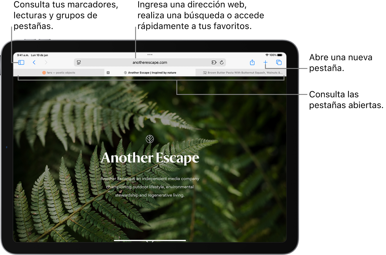 Una página web abierta. A lo largo de la parte superior, de izquierda a derecha, están el botón de barra lateral, el título del grupo de pestañas abierto actualmente, los botones Anterior y Atrás, el campo de búsqueda, el botón Compartir, el botón Nueva pestaña y el botón de la visión general de pestañas.