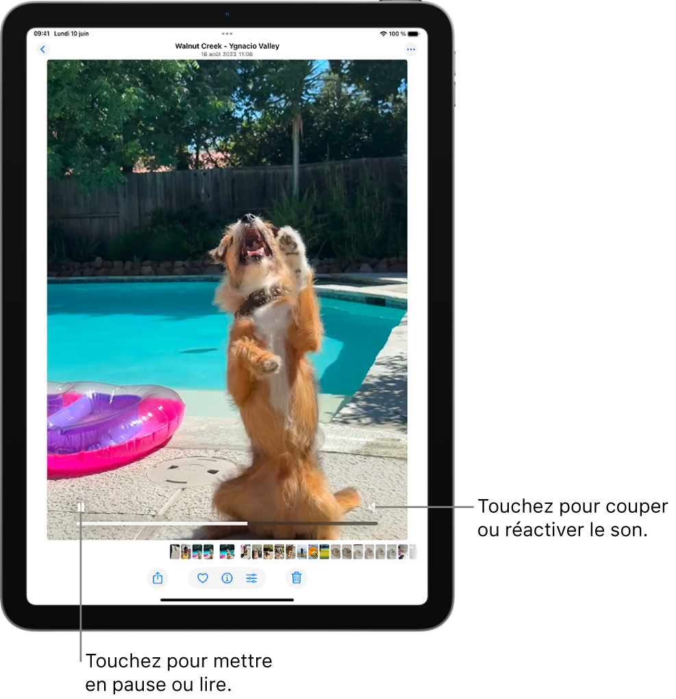 Le lecteur vidéo de l’app Photos est au centre de l’écran et une vidéo est en cours de lecture. En bas de la vidéo, de gauche à droite, se trouvent le bouton Lecture/Pause, une barre de progression et le bouton Volume/Couper le son.