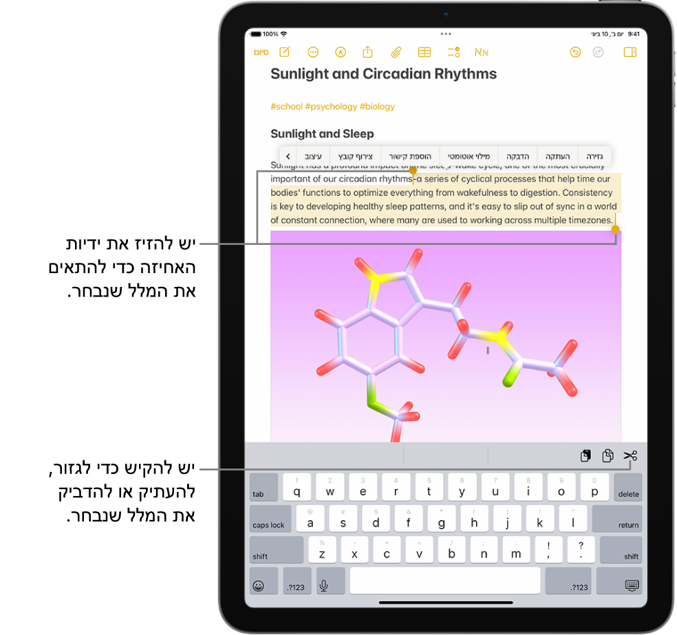מלל נבחר בתוך פתק ביישום ״פתקים״. מעל המלל שנבחר מופיע תפריט של כפתורים שכוללים, ״גזירה״, ״העתקה״ ו״הדבקה״. המלל הנבחר מסומן ובתחילתו ובסופו מופיעות נקודות אחחיזה לשינוי הבחירה.