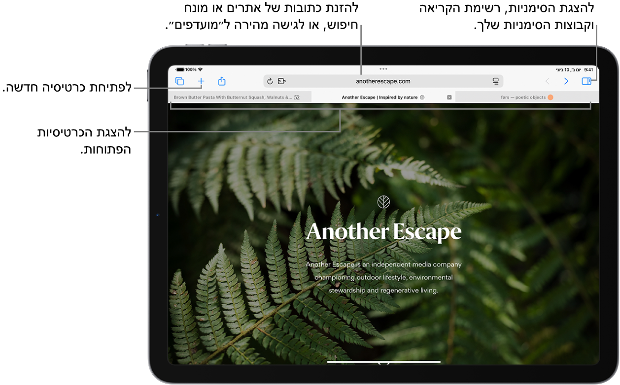 עמוד אינטרנט פתוח. מימין לשמאל לאורך הקצה העליון של המסך מופיעים הכפתור ״סרגל צד״, שמה של ״קבוצת הכרטיסיות״ הפתוחה, הכפתורים ״הקודם״ ו״אחורה״, שדה החיפוש, הכפתור ״שיתוף״, הכפתור ״כרטיסיה חדשה״ והכפתור ״סקירת כרטיסיות״.