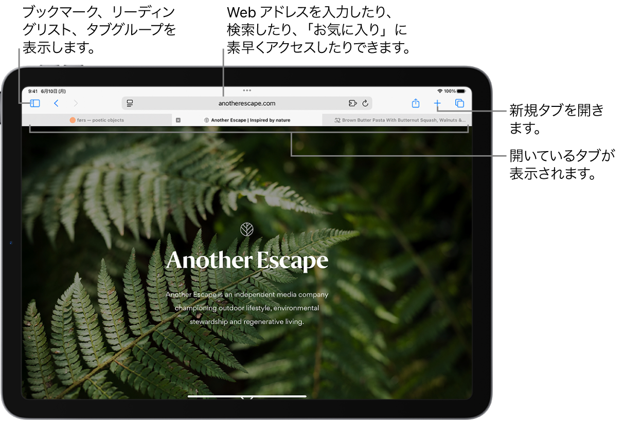 開いているWebページ。上部には、左から順に、「サイドバー」ボタン、現在開いているタブグループのタイトル、前へボタンと戻るボタン、検索フィールド、「共有」ボタン、「新規タブ」ボタン、および「タブの概要」ボタンが表示されています。