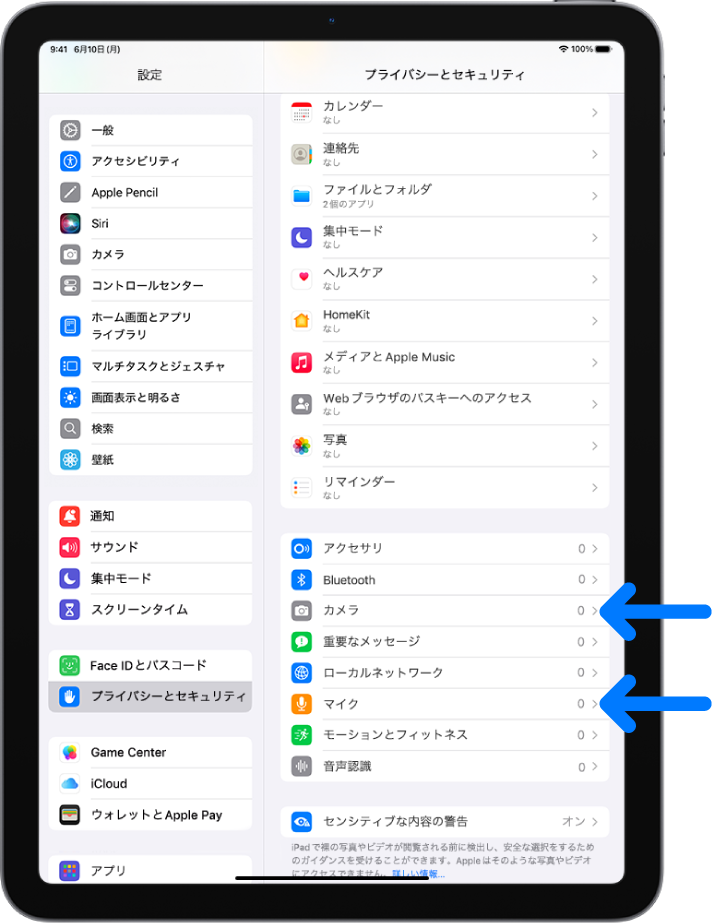 「プライバシーとセキュリティ」画面。アプリでiPadのカメラやマイクなどのパーツを使用できるかどうかを制御する設定が表示されています。