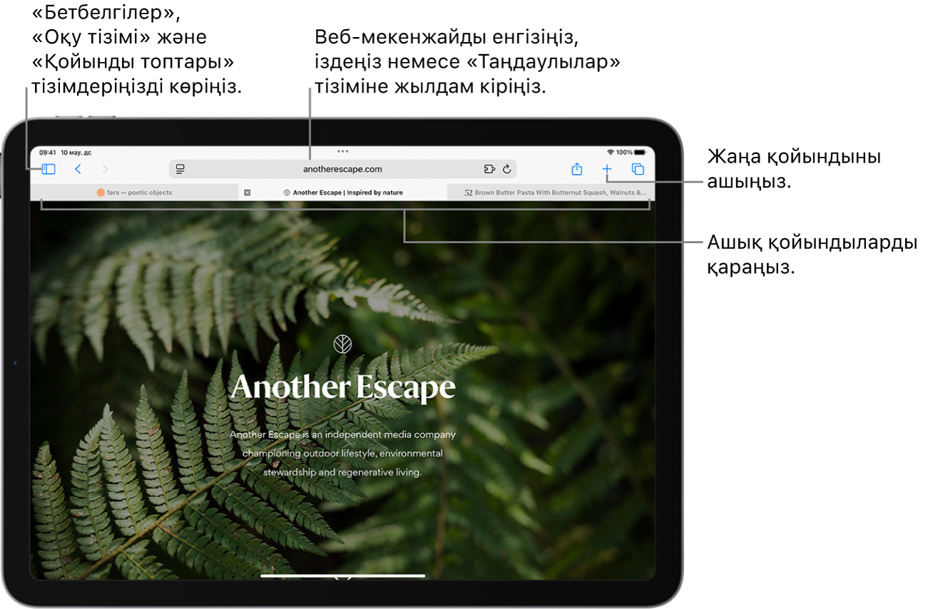 Ашық веб-бет. Жоғарыда солдан оңға қарай — Бүйірлік түйме, қазір ашық тұрған Қойынды тобының атауы, «Алдыңғы» және «Артқа» түймелері, іздеу өрісі, «Бөлісу» түймесі, «Жаңа қойынды» түймесі және «Қойындыны шолу» түймесі.