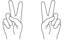 ಕಾನ್ಫೆಟಿ ಜೆಸ್ಚರ್