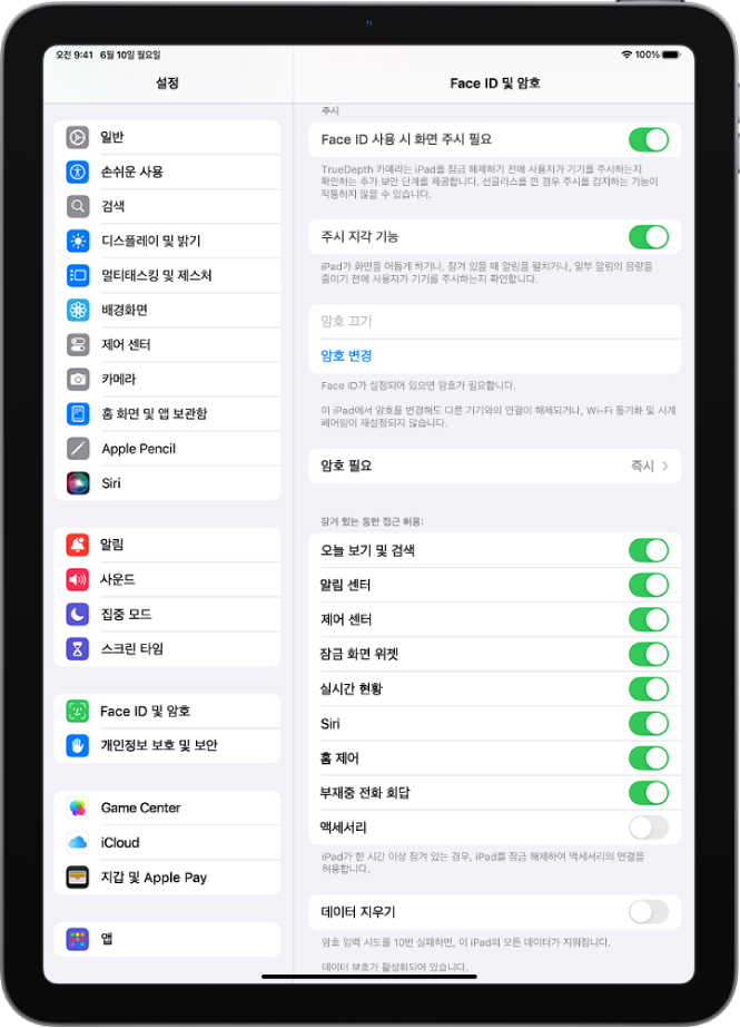 iPad가 잠긴 동안 특정 기능에 접근할 수 있는 옵션이 표시된 Face ID 및 암호 설정.