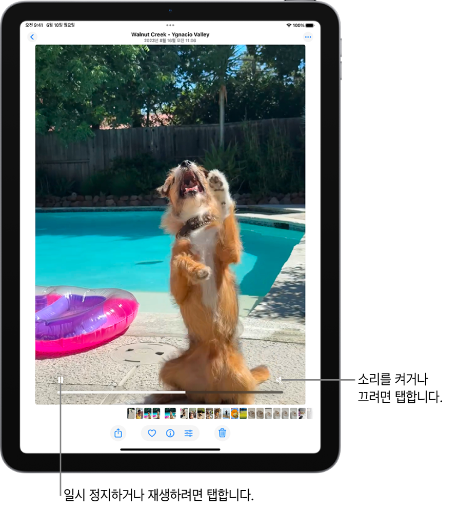 화면 중앙에 사진 앱의 비디오 플레이어가 있고 비디오가 재생 중임. 비디오 하단에는 왼쪽에서 오른쪽으로 재생/일시 정지 버튼, 진행 막대 및 소리 끔/음량 버튼이 있음.