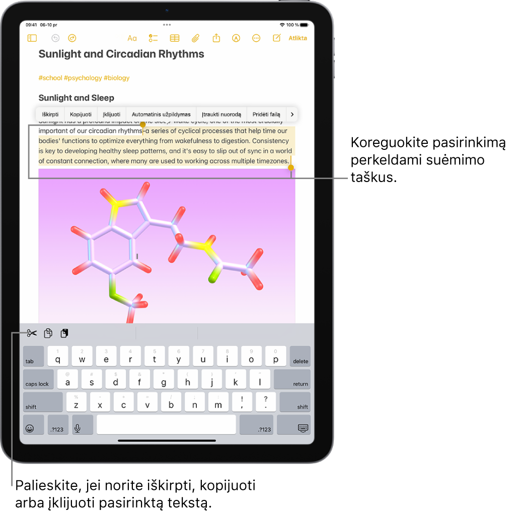 Programoje „Užrašai“ užraše pasirinktas tekstas. Virš pasirinkto teksto yra mygtukų meniu, įskaitant „Iškirpti“, „Kopijuoti“ ir „Įklijuoti“. Pasirinktas tekstas paryškinamas, o abiejuose jo galuose yra taškai, kuriais galima koreguoti pasirinkimą.