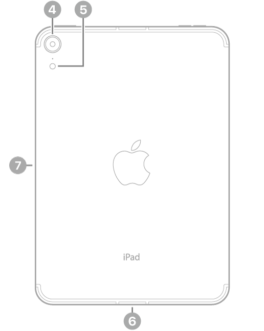 वर डावीकडे रिअर कॅमेरा आणि फ्लॅशसाठी कॉलआउट्ससह iPad mini (A17 Pro) चा बॅक व्ह्यू, तळाशी मध्यभागी USB-C कनेक्टर आणि डावीकडे Apple Pencil साठी चुंबकीय कनेक्टर.