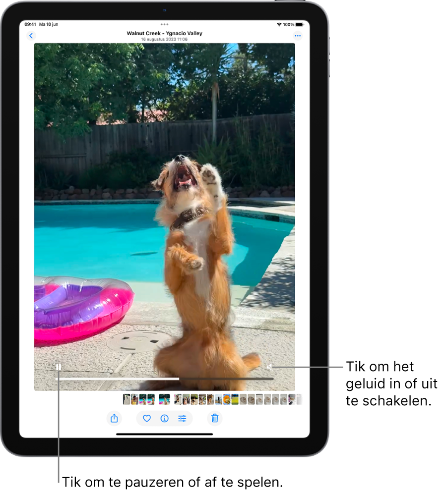 De videospeler van de Foto's-app staat in het midden van het scherm en er wordt een video in afgespeeld. Onder in de video staan van links naar rechts de afspeel-/pauzeknop, een voortgangsbalk en de knop voor volume/geluid.
