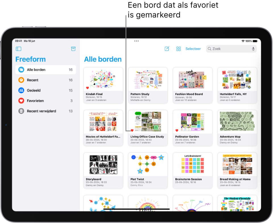 Freeform is geopend op een iPad. 'Alle borden' is geselecteerd in de navigatiekolom en aan de rechterkant staan bordminiaturen.