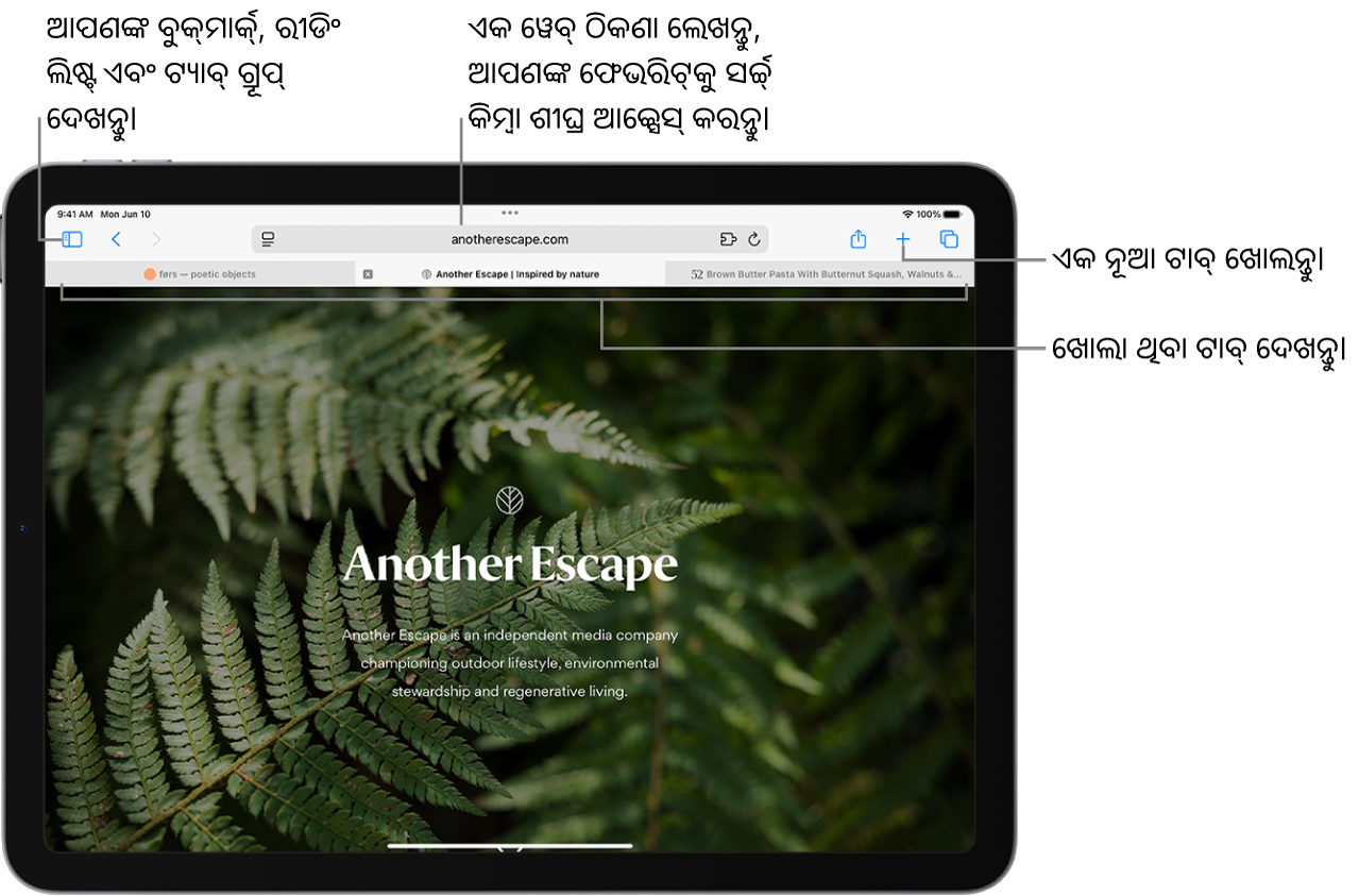 ଏକ ଖୋଲା ୱେବ୍‌ପୃଷ୍ଠା। ଶୀର୍ଷରେ ବାମରୁ ଡାହାଣକୁ, ସାଇଡ୍‌ବାର୍‌ ବଟନ୍, ବର୍ତ୍ତମାନର ଖୋଲା ଥିବା ଟ୍ଯାବ୍‌ ଗ୍ରୂପ୍‌ର ଶୀର୍ଷକ, ପୂର୍ବ ଏବଂ ପଛ ବଟନ୍, ସର୍ଚ୍ଚ୍‌ ଫିଲ୍ଡ୍‌, ଶେୟର୍ ବଟନ୍, ନୂଆ ଟ୍ଯାବ୍‌ ବଟନ୍ ଏବଂ ଟ୍ଯାବ୍‌ ଓଭର୍‌ଭ୍ଯୁ ବଟନ୍ ଅଛି।