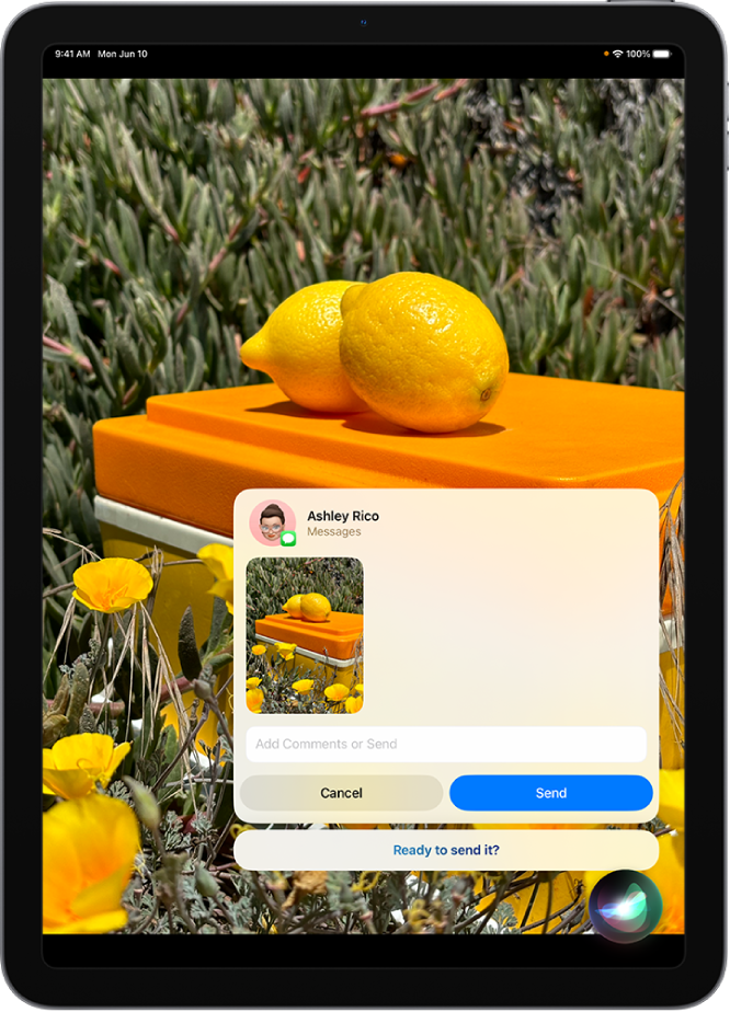 iPad ਸਕਰੀਨ, ਜਿਸ ਵਿੱਚ Siri ਦੇ ਸੁਣਨ ਵਾਲੀ ਐਪ ਹੇਠਲੇ-ਸੱਜੇ ਕੋਨੇ ਵਿੱਚ ਹੈ ਅਤੇ ਇਸਦੇ ਉੱਪਰ Siri ਵੱਲੋਂ ਭੇਜੇ ਜਾਣ ਵਾਲੇ ਟੈਕਸਟ ਸੁਨੇਹੇ ਦੇ ਰੂਪ ਵਿੱਚ ਪ੍ਰਤੀਕਿਰਿਆ ਹੈ।