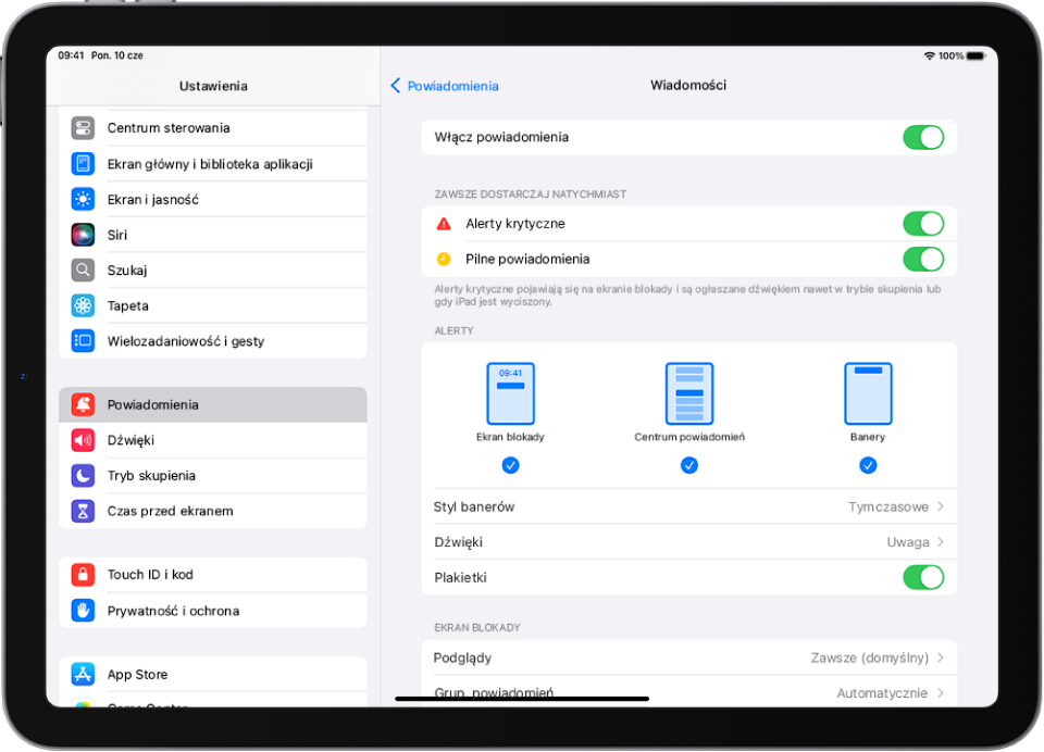 iPad z ustawieniami Wiadomości dotyczącymi powiadomień i alertów.