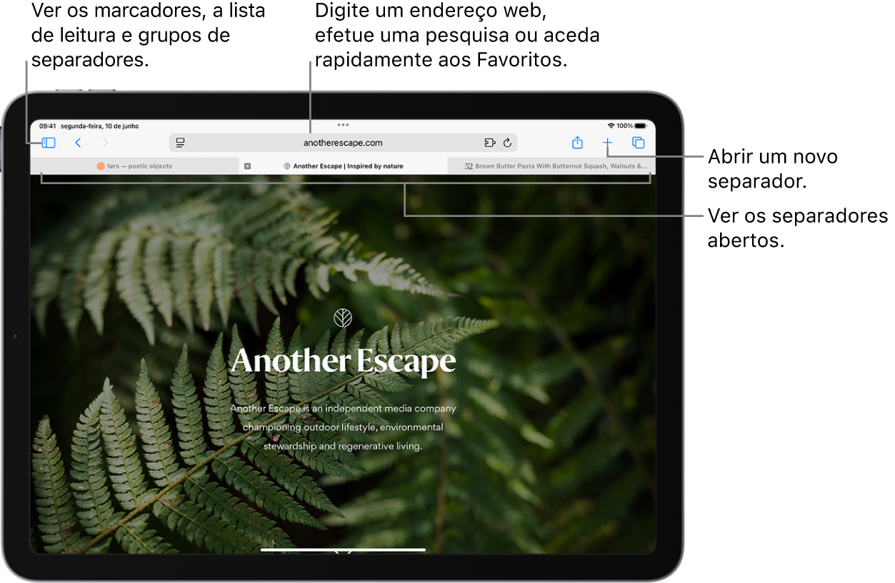 Uma página web aberta. Na parte superior, da esquerda para a direita, estão o botão “Barra lateral”, o título do grupo de separadores atualmente aberto, os botões “Anterior” e “Seguinte”, o campo de pesquisa, o botão “Partilhar”, o botão “Novo separador” e o botão “Visão geral de separadores”.